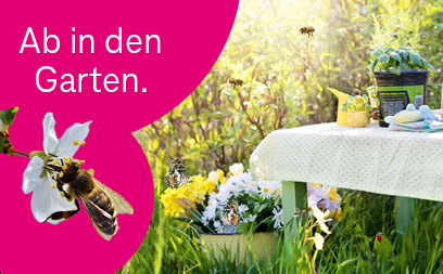 Zu den Neuigkeiten im Shop