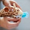 Bild von Schnullertier "Snuggle Giraffe" + Schnuller "Ultra Soft" SCF348/11, türkis