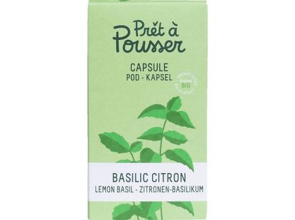 Bild von Samenkapsel: Zitronenbasilikum