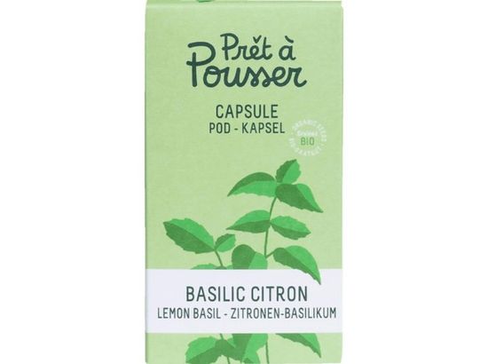 Bild von Samenkapsel: Zitronenbasilikum