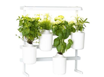 Bild von LED Indoor-Garten-Set "Modulo"