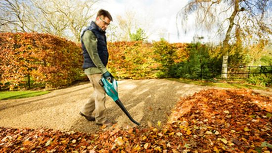 Bild von Akku-Laubbläser "ALB 18 LI"