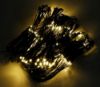 Bild von Lichternetz mit 160 LED, warm-weiß