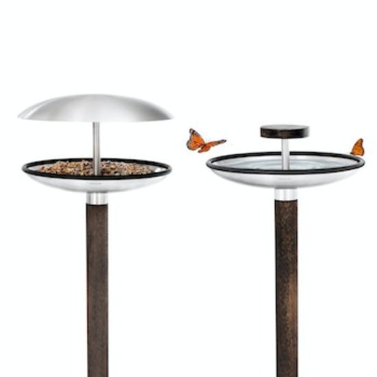 Bild von Vogel Rastplatz FUERA