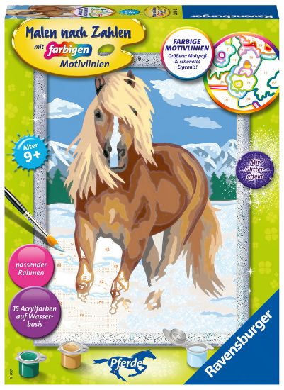 Bild von Malen nach Zahlen "Haflinger im Schnee"