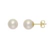Bild von Ohrstecker "Pearls", Gelbgold