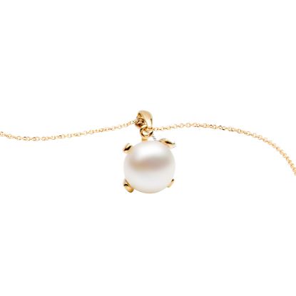 Bild von Collierkette "Chloe", gelbgold