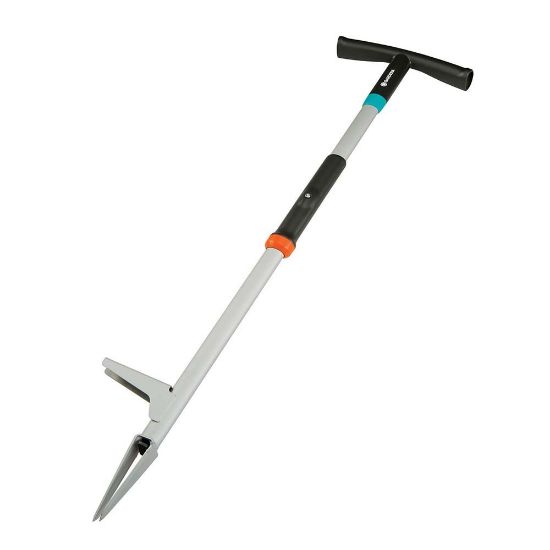 Bild von Unkrautstecher