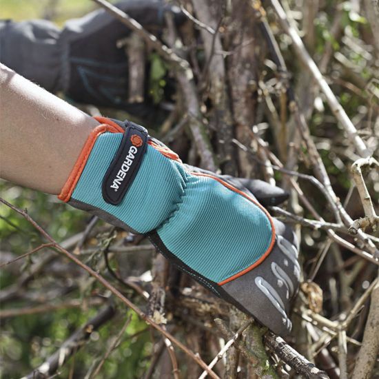 Bild von Strauchpflegehandschuh