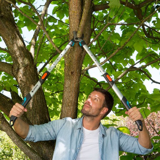 Bild von Astschere "TeleCut 650- 900 B 12009-20"