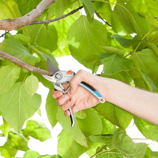 Bild von Gartenschere "B/L 08906-20"