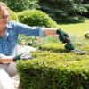 Bild von Akku-Strauchschere "Easy Shear"