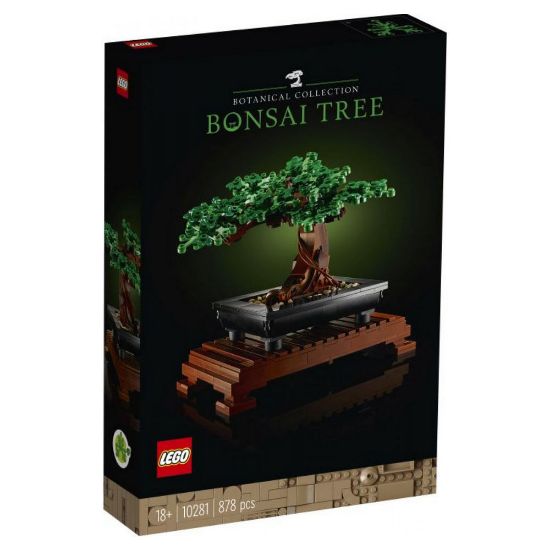 Bild von Bonsai Baum "Icons"