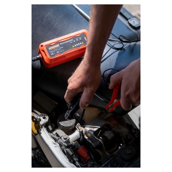 Bild von Kfz-Batterie-Ladegerät 6/12 V