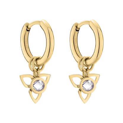 Bild von Paar Creolen Blüte "TJ-0016-E-15", IP Gold