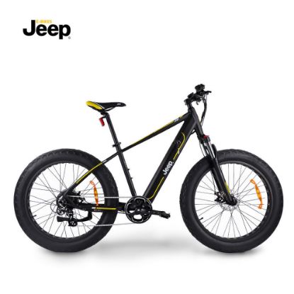 Bild von Mountain E-Bike "MHFR 7100", 26 Zoll, schwarz