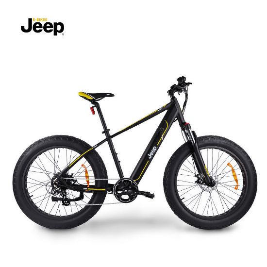 Bild von Mountain E-Bike "MHFR 7100", 26 Zoll, schwarz