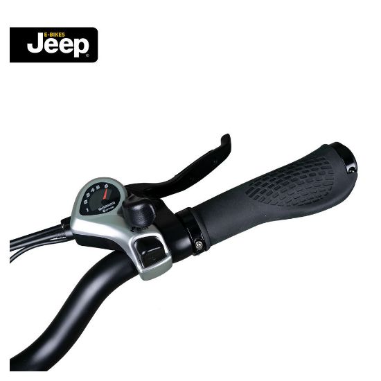 Bild von Trekking E-Bike "TLR 7021", 28 Zoll, weiß