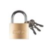 Bild von Vorhängeschloss, 50mm