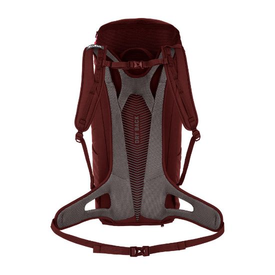 Bild von Rucksack "Alp Mate", 24L, syrah