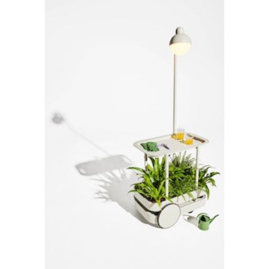 Bild von Trolley Jolly, hellgrau